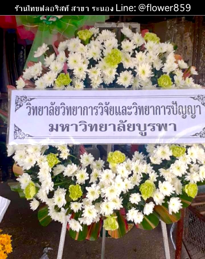 ร้านพวงหรีด ระนอง
ส่งพวงหรีดดอกไม้สด
〈 ต.นาคา อ.สุขสำราญ จ.ระนอง 〉